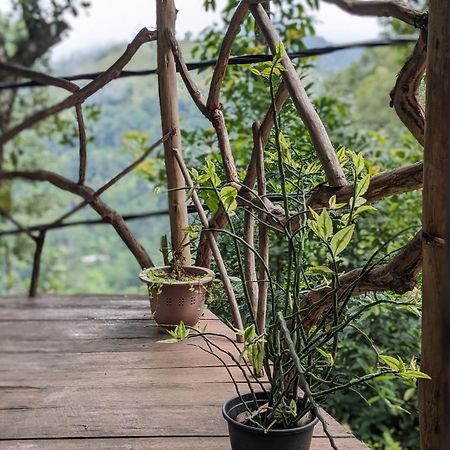 Ella Nature Nest Zewnętrze zdjęcie