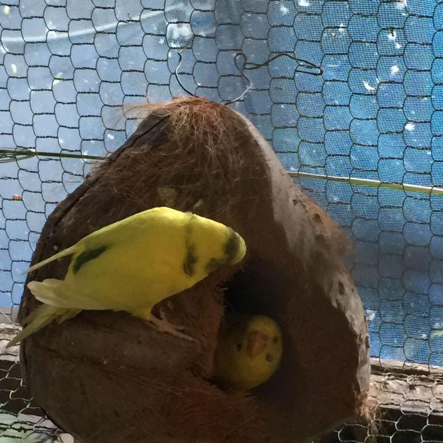 Ella Nature Nest Zewnętrze zdjęcie