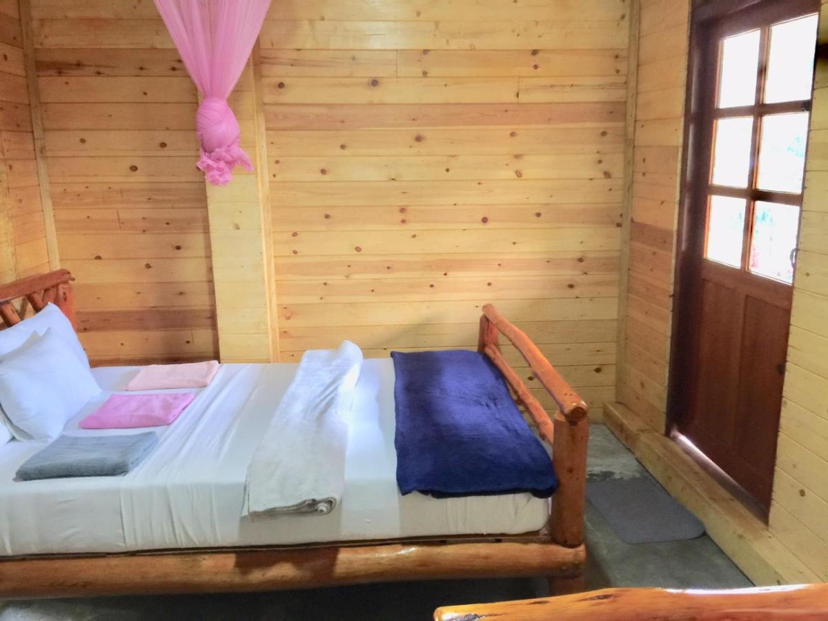 Ella Nature Nest Zewnętrze zdjęcie