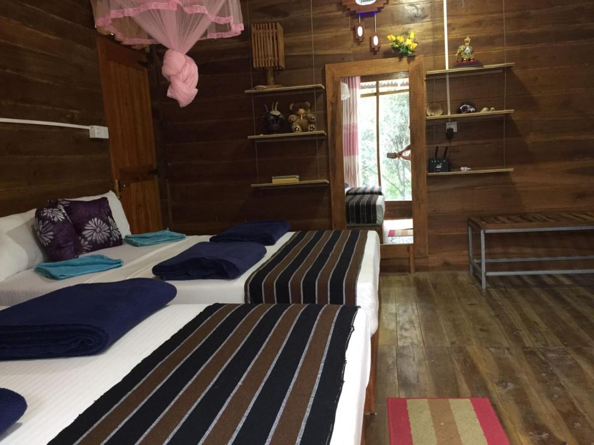 Ella Nature Nest Zewnętrze zdjęcie