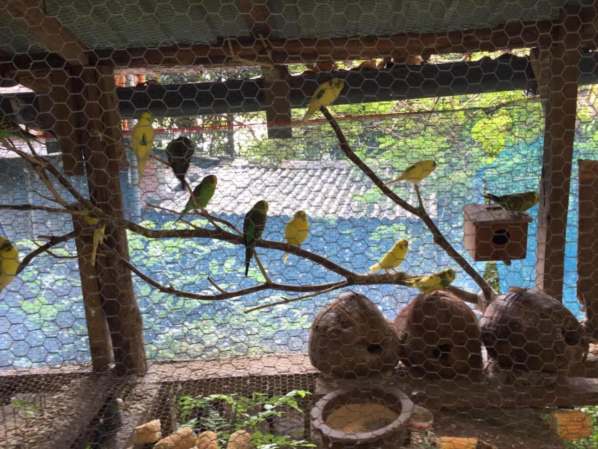 Ella Nature Nest Zewnętrze zdjęcie
