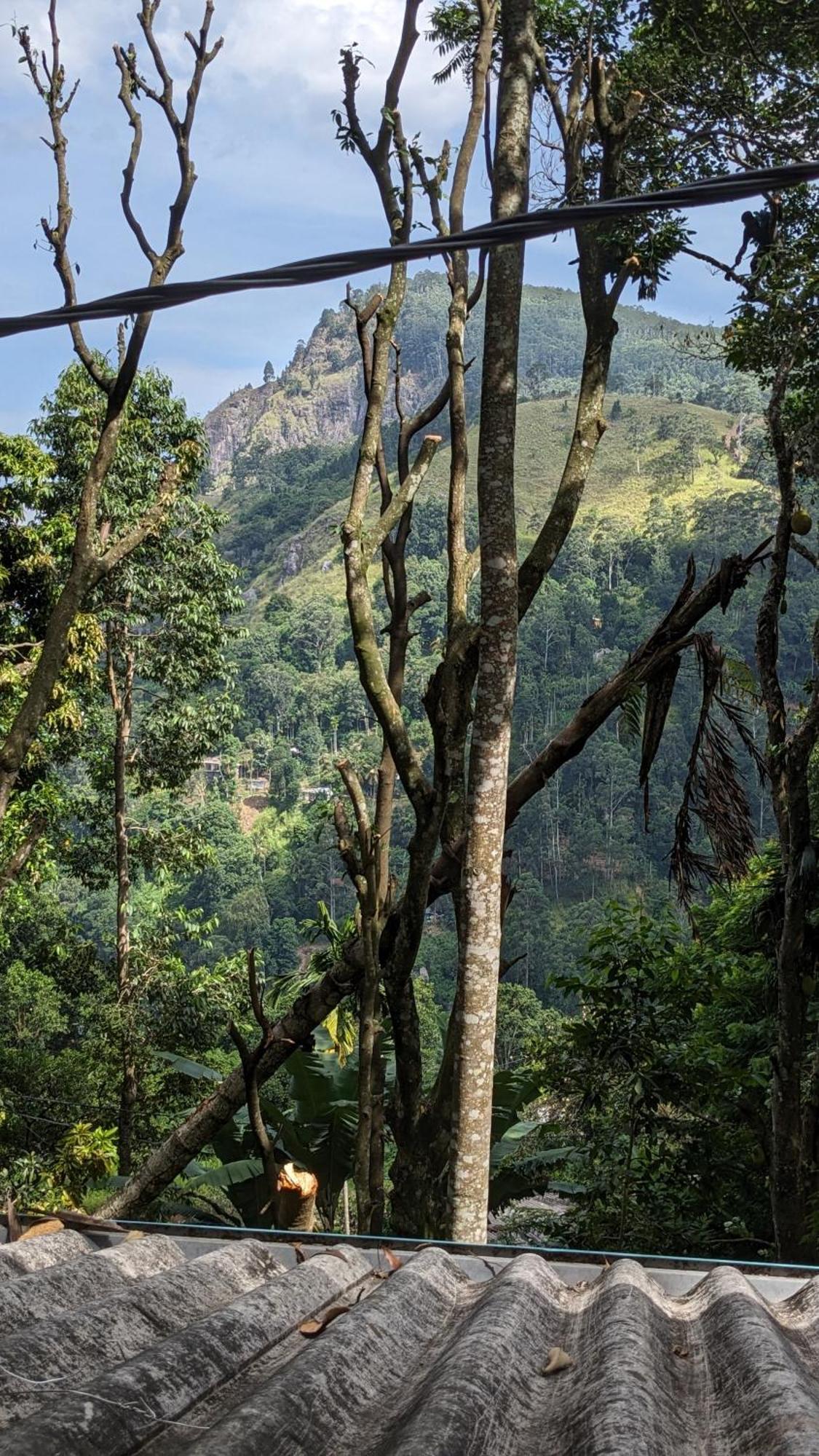 Ella Nature Nest Zewnętrze zdjęcie