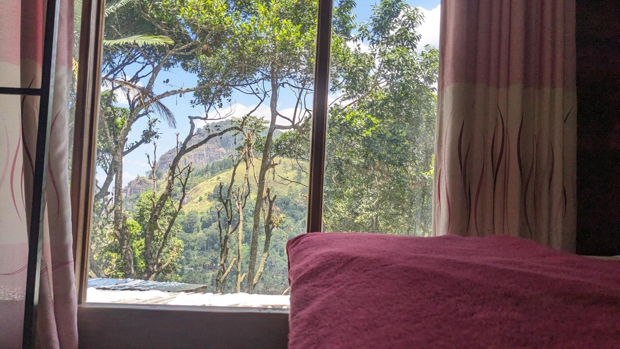 Ella Nature Nest Zewnętrze zdjęcie