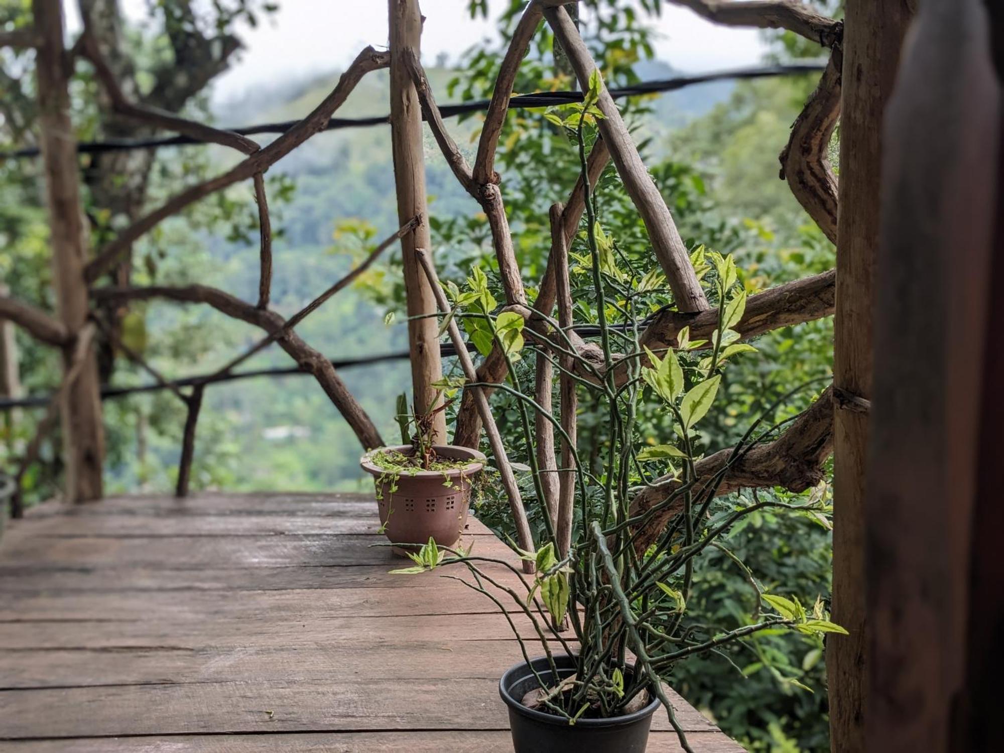 Ella Nature Nest Zewnętrze zdjęcie